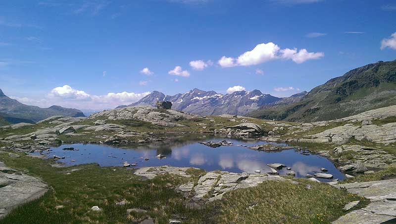 Arthur-Hartdegen-Weg